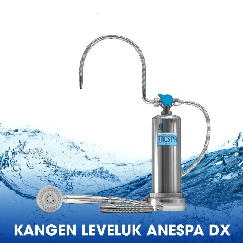 Máy tắm Leveluk Anespa DX