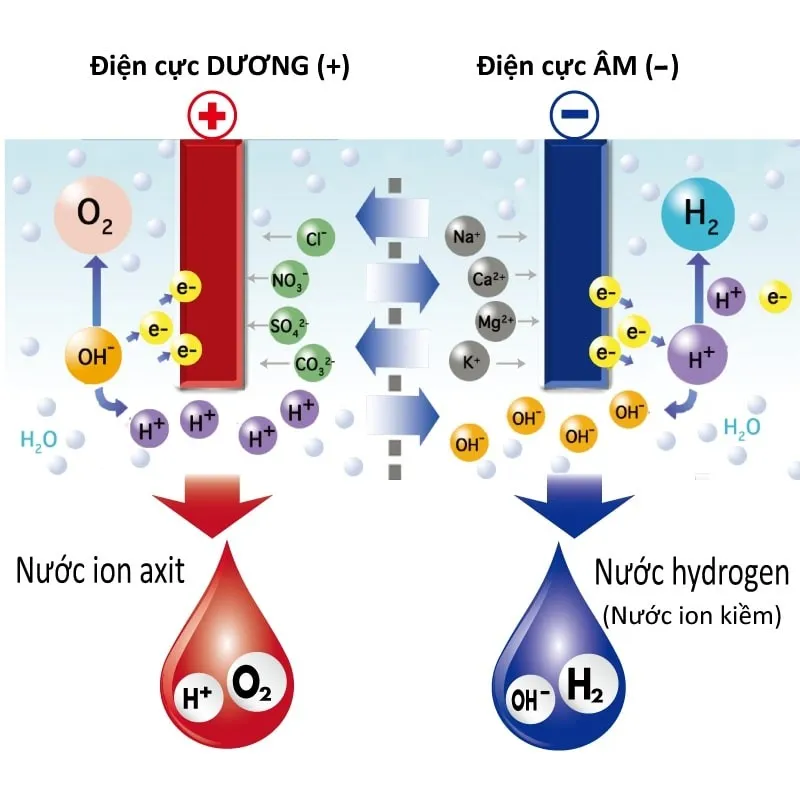 qua-trinh-dien-phan-nuoc-sau-khi-loc-de-tao-ra-nuoc-kangen