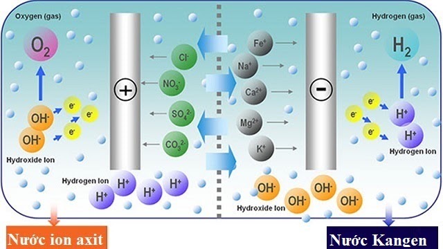quá trình điện phân nước trong buồng điện phân của máy điện giải