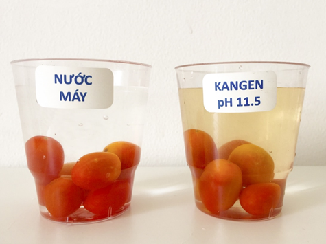 So sánh khả năng chiết xuất của nước máy so với nước Kangen 11.5